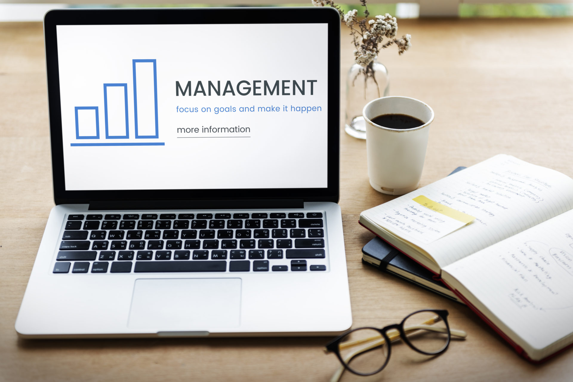 Top Project Management Tools: Anaplan Vs. Hoylu